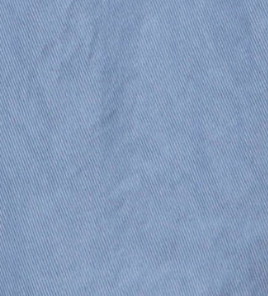 swatch_Denim Blue embroidered shorts