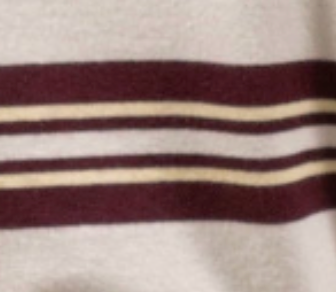 swatch_Ecru rd style manaia knit polo