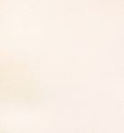 swatch_Ecru elodie the label lacey strapless top