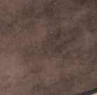 swatch_Espresso Suede tony bianco crush pump