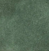 swatch_Evergreen/Plum elan sneaker shoes