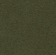 swatch_Fern zuri sweatshirt