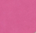 swatch_Fuchsia Suede tony biango edgy thong wedge sandal