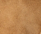 swatch_Ginger Suede oncept dover penny loafer