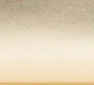 swatch_Gold olga berg lucy evening clutch