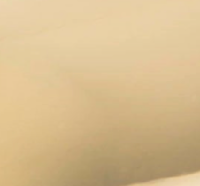 swatch_Gold stretch bracelet