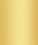 swatch_Gold chucky necklace