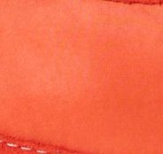 swatch_Grenadine oncept temple sneaker