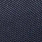 swatch_indigo casey platform sneaker shoes