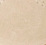 swatch_Ivory Multi dolce vita nanet sneaker mary jane