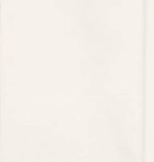 swatch_Ivory sadie and sage shades mini dress
