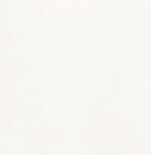 swatch_Ivory favorite daughter whitney top