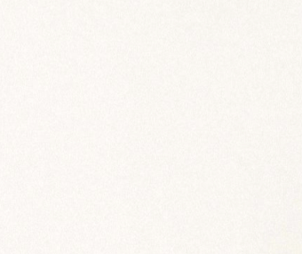 swatch_Ivory/Navy the blank lab cotton baseball tshirt