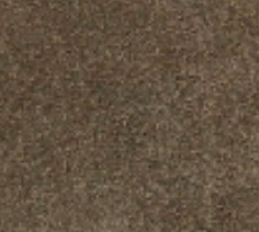 swatch_Khaki/Clementine athena platform sneaker shoes