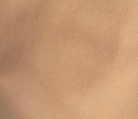 swatch_Latte daze villa barrel leg pant