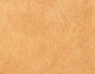 swatch_Latte Suede roma leather shoulder bag