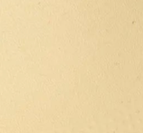 swatch_lemon arch support flip flop flat sandals