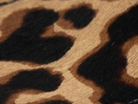 swatch_Leopard Haircalf penny loafer