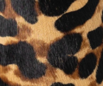 swatch_Leopard Haircalf angel alarcon heeled ankle boot