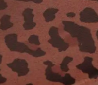 swatch_leopard wishlist flip flop flat sandals