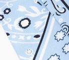 swatch_Light Blue twilly scarf