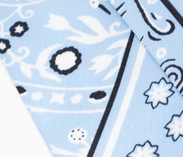 swatch_Light Blue twilly scarf