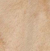 swatch_Light Oat geesje coat coats