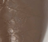 swatch_Liqueur Tony Bianco cherry kitten heel pump