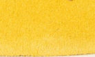 swatch_Marigold oncept temple sneaker