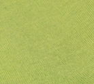swatch_Matcha le bon shoppe sneaker sock