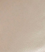 swatch_Misty Leather nene platform ankle boots