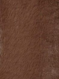swatch_Mocha faux fur zipper vest