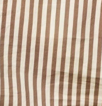 swatch_Mocha Stripe perfect white tee gisele button down shirt