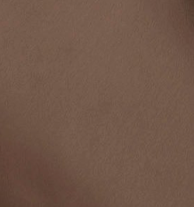 swatch_Mocha elodie the label enid satin skirt