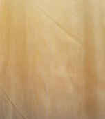 swatch_Mustard sheer ombre dress