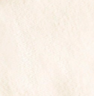 swatch_Natural le bon shoppe breezy sneaker sock
