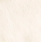 swatch_Natural le bon shoppe breezy sneaker sock