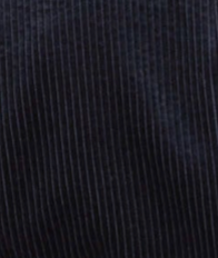 swatch_Navy corduroy blazer