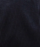 swatch_Navy corduroy blazer