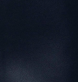 swatch_Navy central park west rusty mini skirt