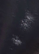 swatch_Navy faux leather pants