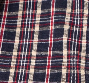 swatch_Navy alexa plaid button down blouse