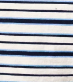 swatch_Navy perfect white tee dawn ringer tee