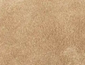 swatch_nougat hillary boat shoe flat shoes