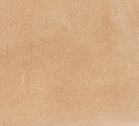 swatch_Nougat jolin mary jane flats