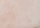 swatch_Nude Suede victoria aster sneakers