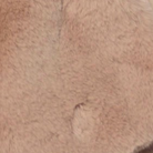 swatch_Oat stip faux fur scarf