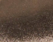 swatch_Pewter Leather sneaker