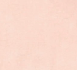 swatch_Pink blank nyc lawn party barn jacket