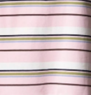 swatch_Pink striped polo dress